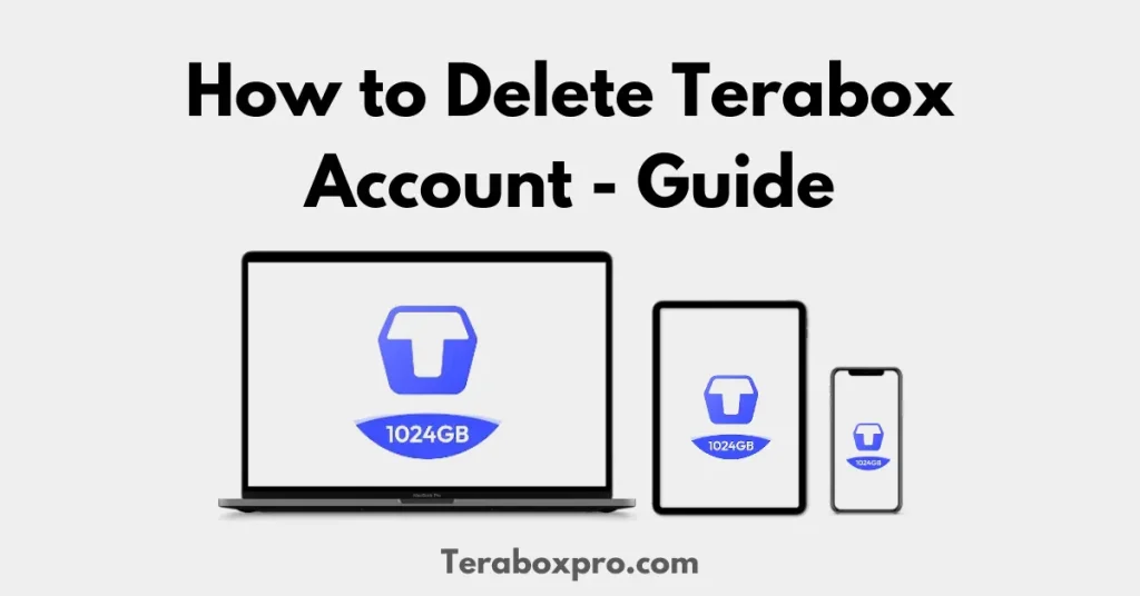 How to delete terabox account