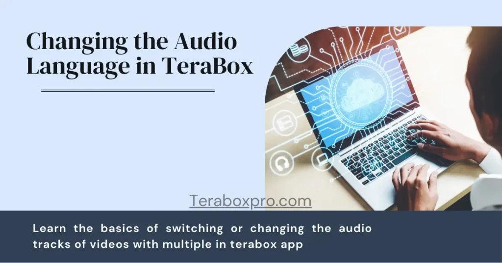 How to change the audio language in terabox videos?