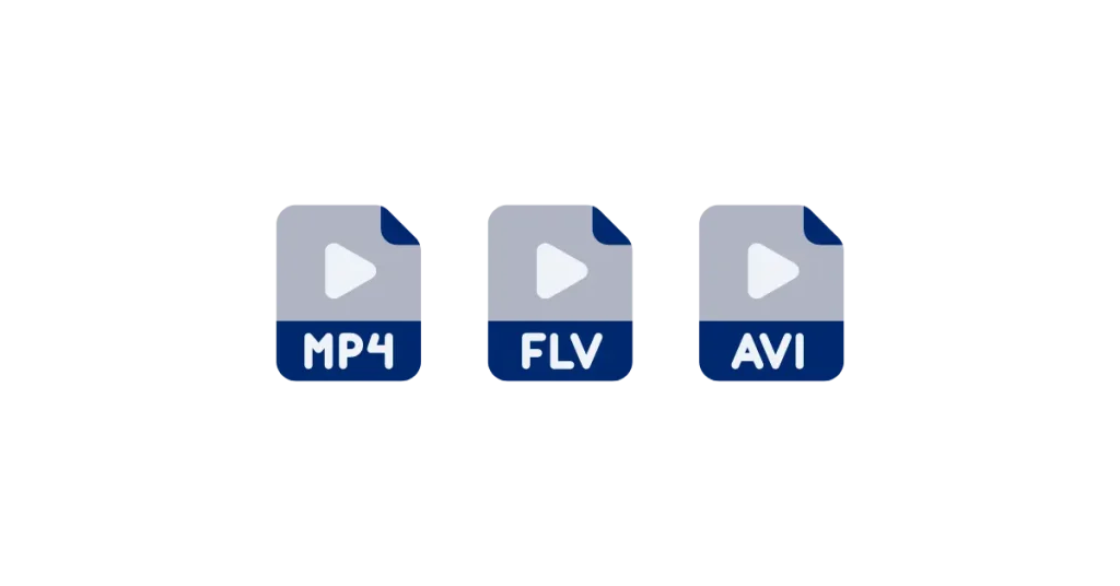 Several Video Formats